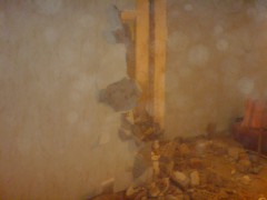 Ferienhaus Thuringer Wald (05)