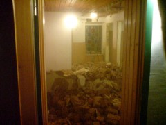 Ferienhaus Thuringer Wald (07)