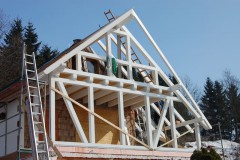 Ferienhaus Thuringer Wald (242)