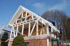 Ferienhaus Thuringer Wald (243)